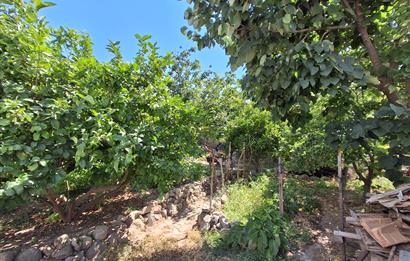 Bodrum Gundogan dönemsel veya yıllık kiralık daire