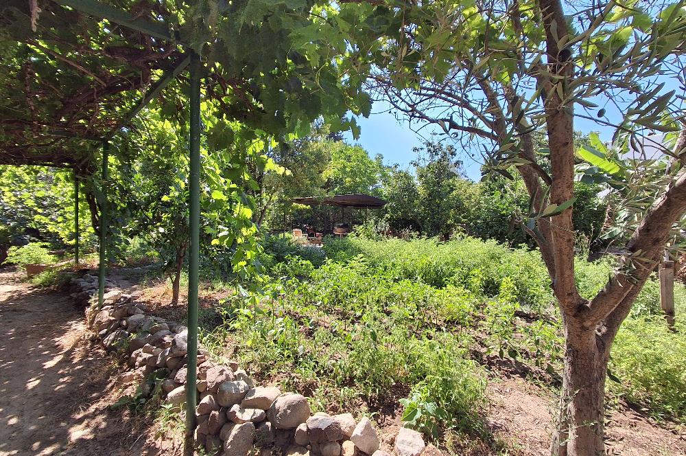 Bodrum Gundogan dönemsel veya yıllık kiralık daire