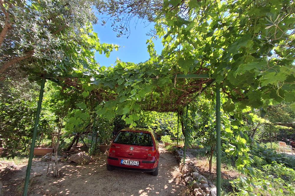 Bodrum Gundogan dönemsel veya yıllık kiralık daire