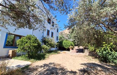 Bodrum Gundogan dönemsel veya yıllık kiralık daire