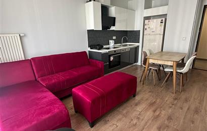C21 ROOF FİKİRTEPE TORKAM YÜKSEK KAT EŞYALI KİRALIK 1+1