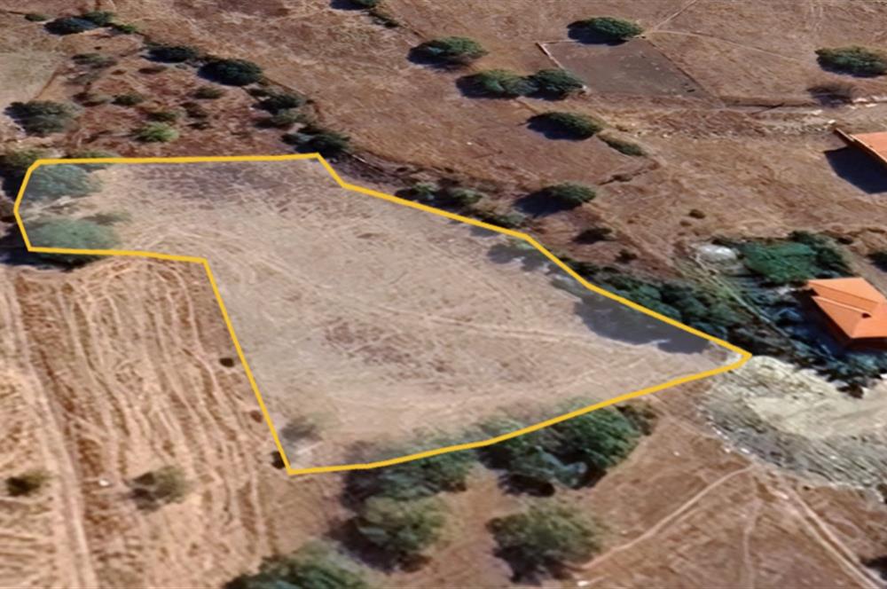 C21 LOCA'DAN BİGADİÇ ORTA MAHALLE'DE SATILIK ARSA