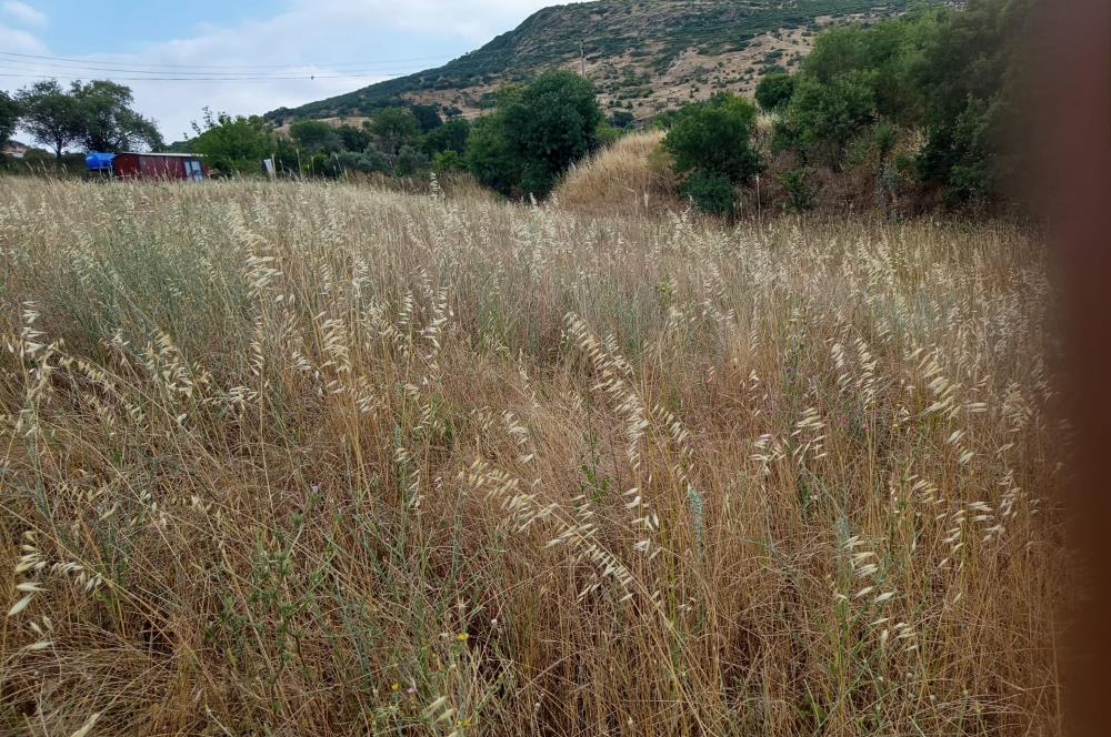C21 LOCA'DAN BİGADİÇ ORTA MAHALLE'DE SATILIK ARSA