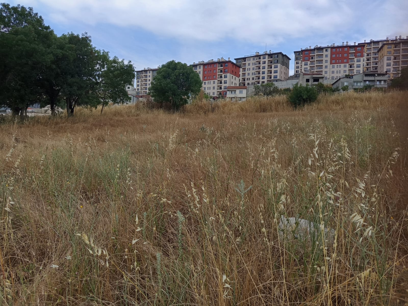 C21 LOCA'DAN BİGADİÇ ORTA MAHALLE'DE SATILIK ARSA