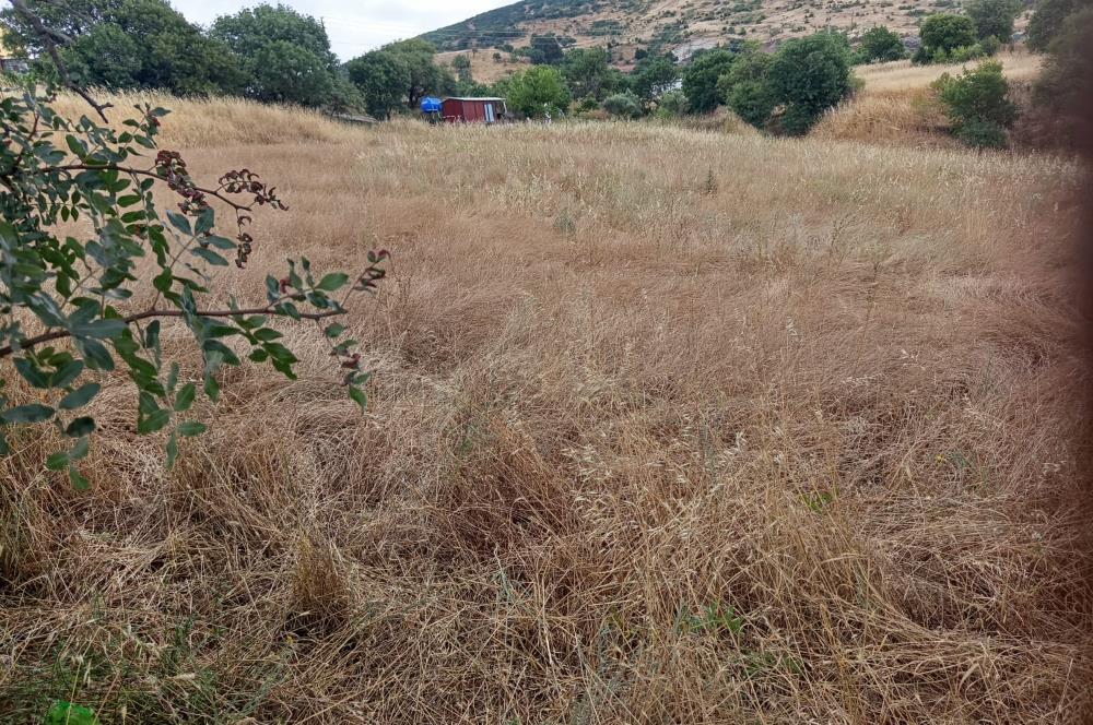 C21 LOCA'DAN BİGADİÇ ORTA MAHALLE'DE SATILIK ARSA