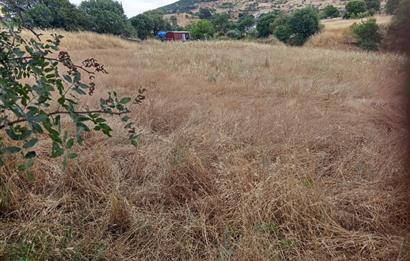 C21 LOCA'DAN BİGADİÇ ORTA MAHALLE'DE SATILIK ARSA