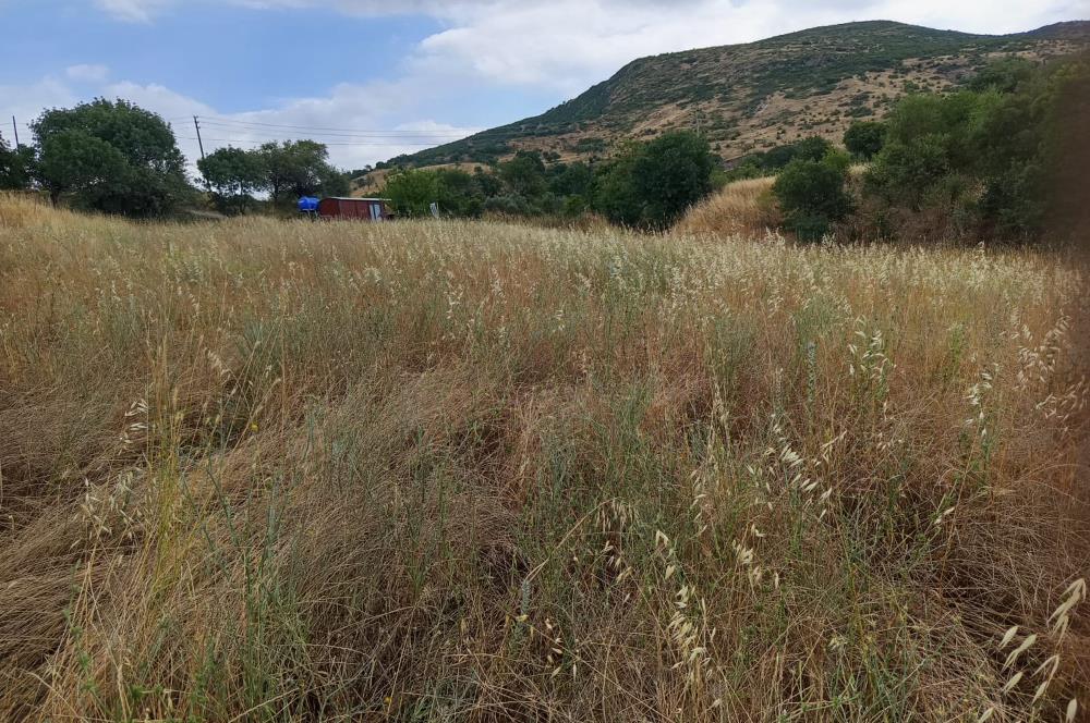 C21 LOCA'DAN BİGADİÇ ORTA MAHALLE'DE SATILIK ARSA