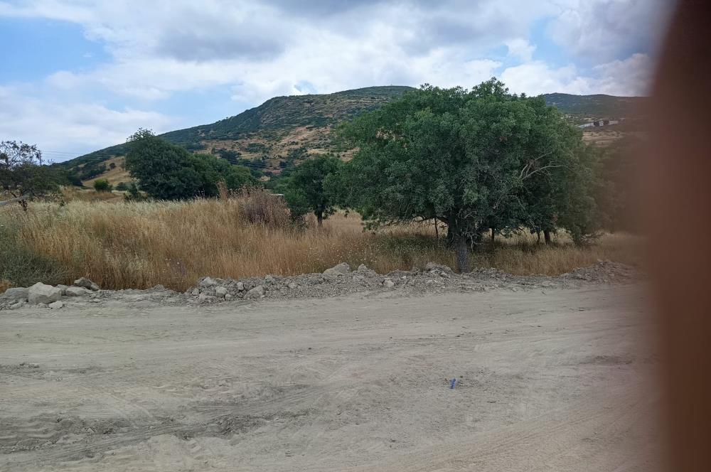 C21 LOCA'DAN BİGADİÇ ORTA MAHALLE'DE SATILIK ARSA