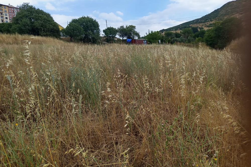 C21 LOCA'DAN BİGADİÇ ORTA MAHALLE'DE SATILIK ARSA