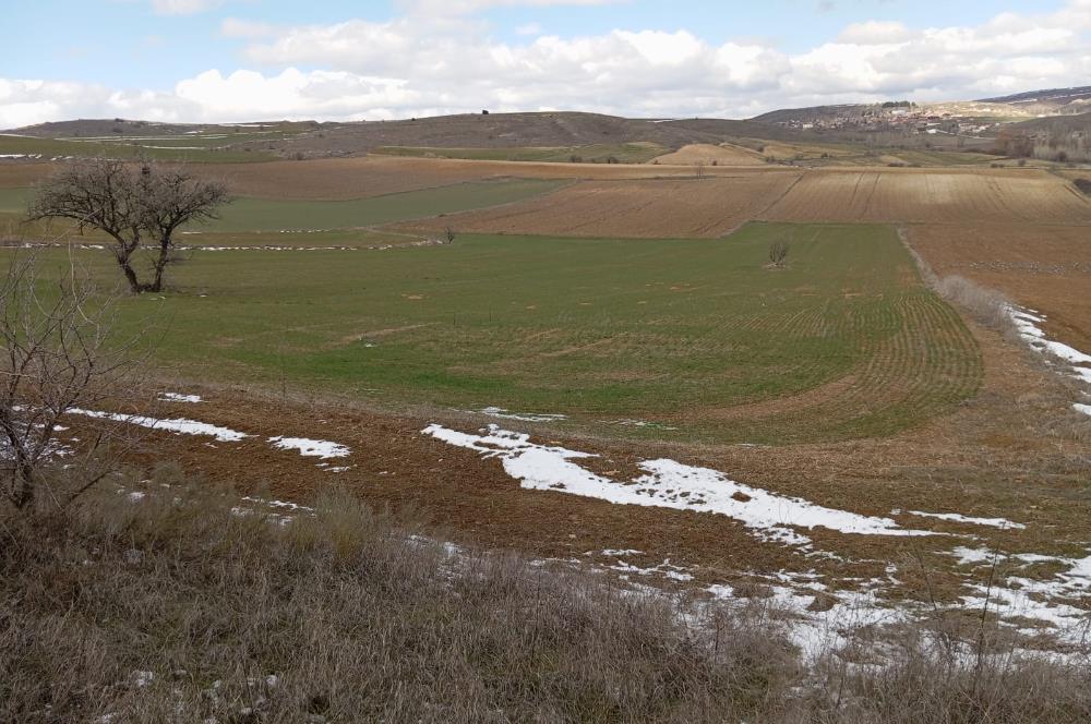 ESKİŞEHİR-BURSA YOLUNDA 29.150 m2 SATILIK TARLA