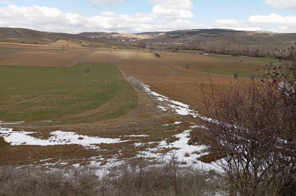 ESKİŞEHİR-BURSA YOLUNDA 29.150 m2 SATILIK TARLA