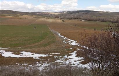 ESKİŞEHİR-BURSA YOLUNDA 29.150 m2 SATILIK TARLA
