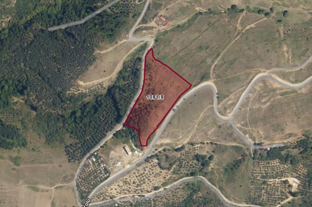 ORHANGAZİ YENİKÖY’DE, KÖYE ÇOK YAKIN-  ÇİFT YOLA CEPHE 15.096 M2 MÜSTAKİL TARLA  