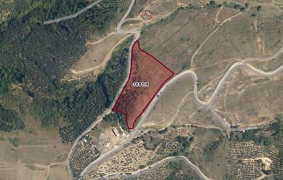ORHANGAZİ YENİKÖY’DE, KÖYE ÇOK YAKIN-  ÇİFT YOLA CEPHE 15.096 M2 MÜSTAKİL TARLA  