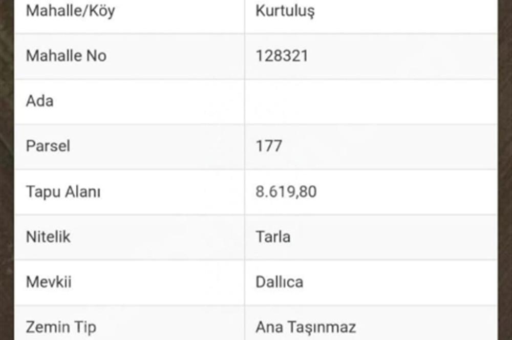 Sera Yapımına Uygun Verimli Tarla