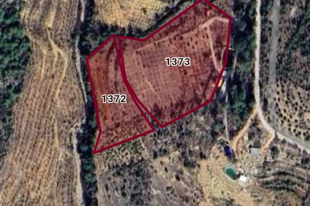 Mersin Silifke İmamuşağı Köyünde Eşsiz Yatırım Fırsatı 20 Dönüm