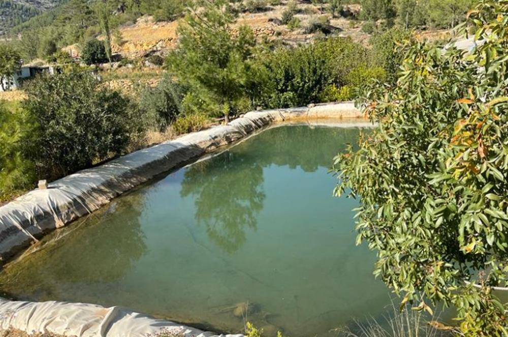Mersin Silifke İmamuşağı Köyünde Eşsiz Yatırım Fırsatı 20 Dönüm