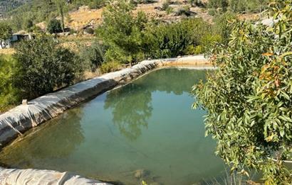 Mersin Silifke İmamuşağı Köyünde Eşsiz Yatırım Fırsatı 20 Dönüm