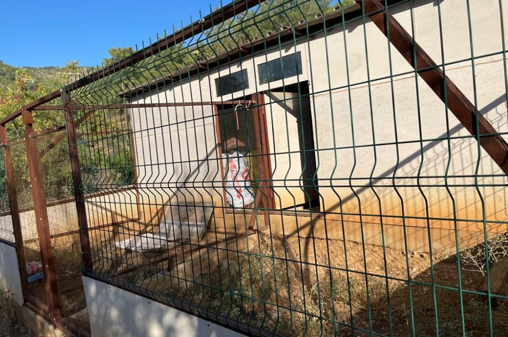 Mersin Silifke İmamuşağı Köyünde Eşsiz Yatırım Fırsatı 20 Dönüm