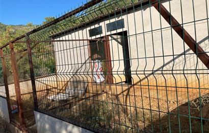 Mersin Silifke İmamuşağı Köyünde Eşsiz Yatırım Fırsatı 20 Dönüm