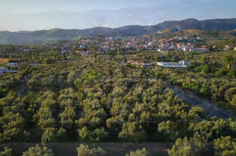 ORHANGAZİ YENİKÖY’DE, KÖYE ÇOK YAKIN-  ÇİFT YOLA CEPHE 15.096 M2 MÜSTAKİL TARLA  
