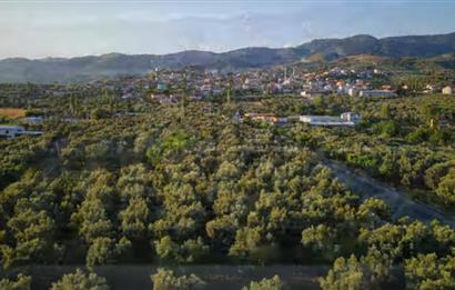 ORHANGAZİ YENİKÖY’DE, KÖYE ÇOK YAKIN-  ÇİFT YOLA CEPHE 15.096 M2 MÜSTAKİL TARLA  
