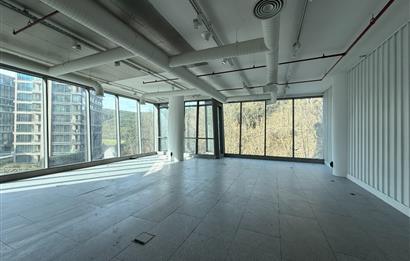 Vadi Koru Kiralık Ofis 212m2 Prestijli Ofis Vadistanbul