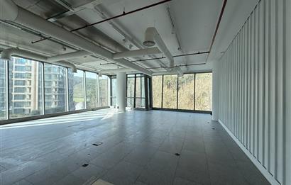 Vadi Koru Kiralık Ofis 212m2 Prestijli Ofis Vadistanbul