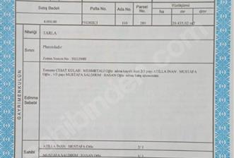 Çavuşlar Köyünde Tek Tapu 20 Dönüm - 3 - 35376