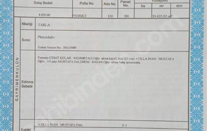 Çavuşlar Köyünde Tek Tapu 20 Dönüm
