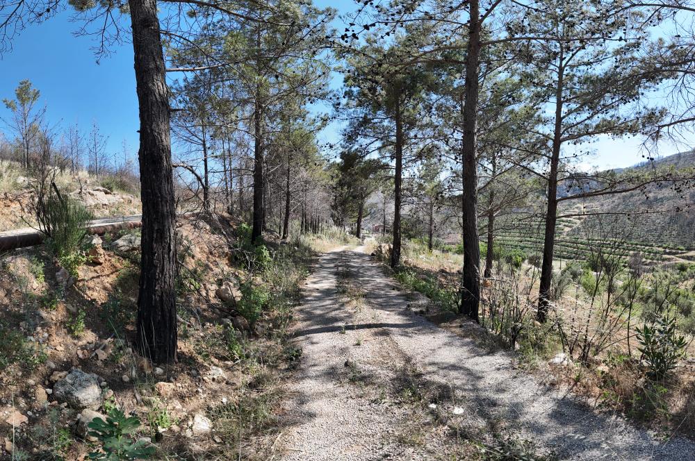 Mersin Silifke İmamuşağı Köyünde Eşsiz Yatırım Fırsatı 20 Dönüm