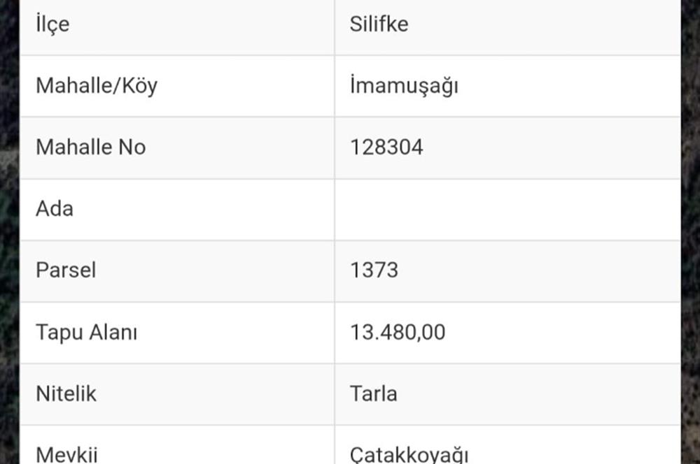 Mersin Silifke İmamuşağı Köyünde Eşsiz Yatırım Fırsatı 20 Dönüm