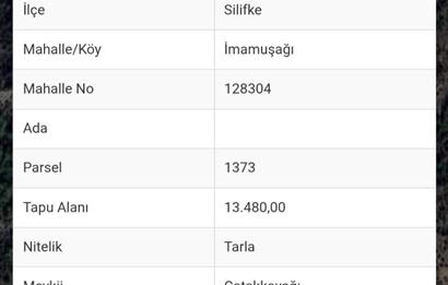 Mersin Silifke İmamuşağı Köyünde Eşsiz Yatırım Fırsatı 20 Dönüm