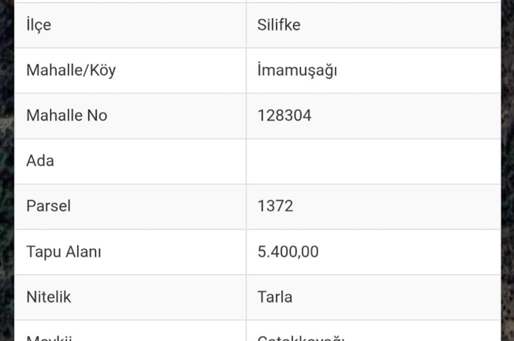 Mersin Silifke İmamuşağı Köyünde Eşsiz Yatırım Fırsatı 20 Dönüm