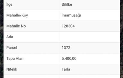 Mersin Silifke İmamuşağı Köyünde Eşsiz Yatırım Fırsatı 20 Dönüm