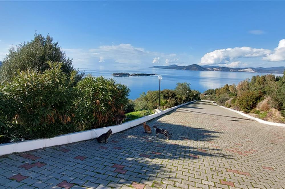 Bodrum-Adabükü'nde özel plajlı yaz dönemi kiralık dubleks daire