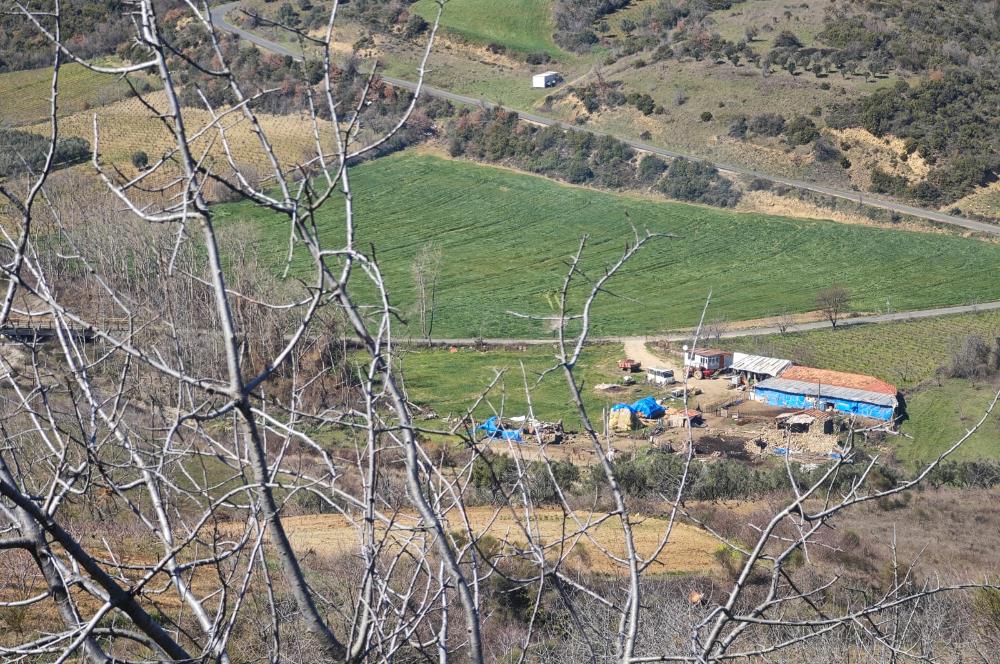 Tekirdağ Şarköy Çınarlı'da Satılık Bağ 