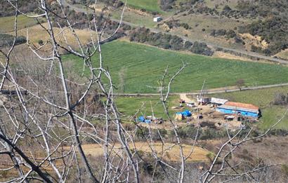 Tekirdağ Şarköy Çınarlı'da Satılık Bağ 
