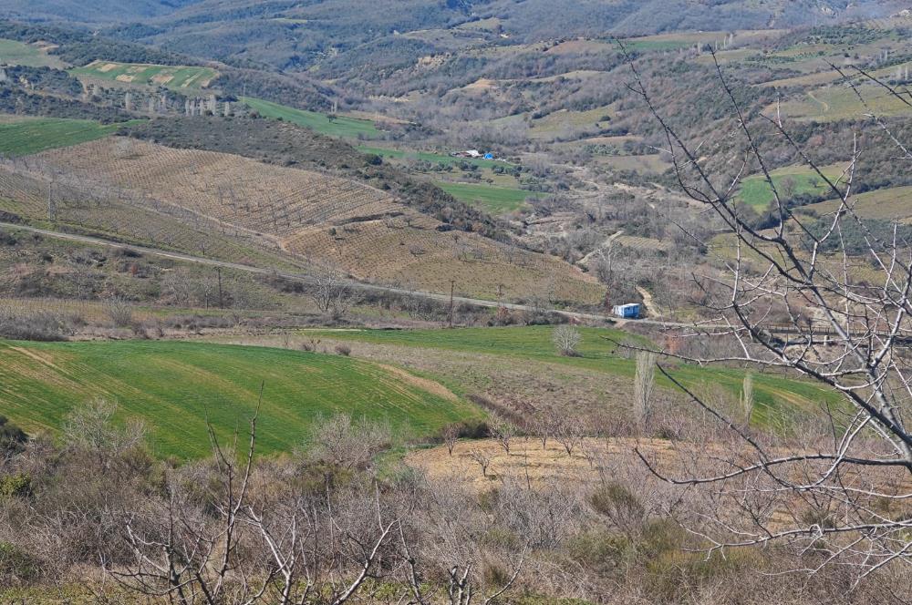 Tekirdağ Şarköy Çınarlı'da Satılık Bağ 