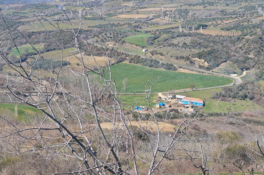 Tekirdağ Şarköy Çınarlı'da Satılık Bağ 
