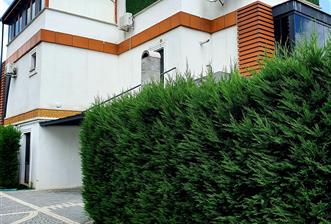 Hayalinizdeki Müstakil ve Güvenli Yaşam: Çatı Teraslı, Havuzlu Luxury Villa! - 2 - 35404