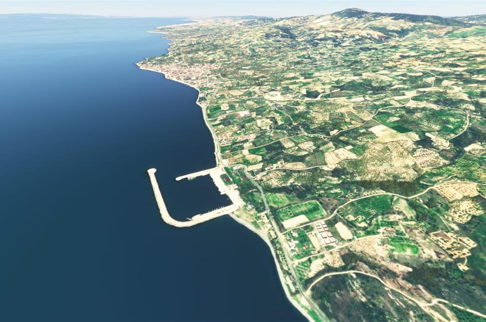 Tekirdağ Şarköy Çınarlı'da Satılık Bağ 