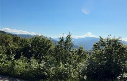 ORTAHİSAR YEŞİLBÜK'TE 3791 M2SATILIK TARLA