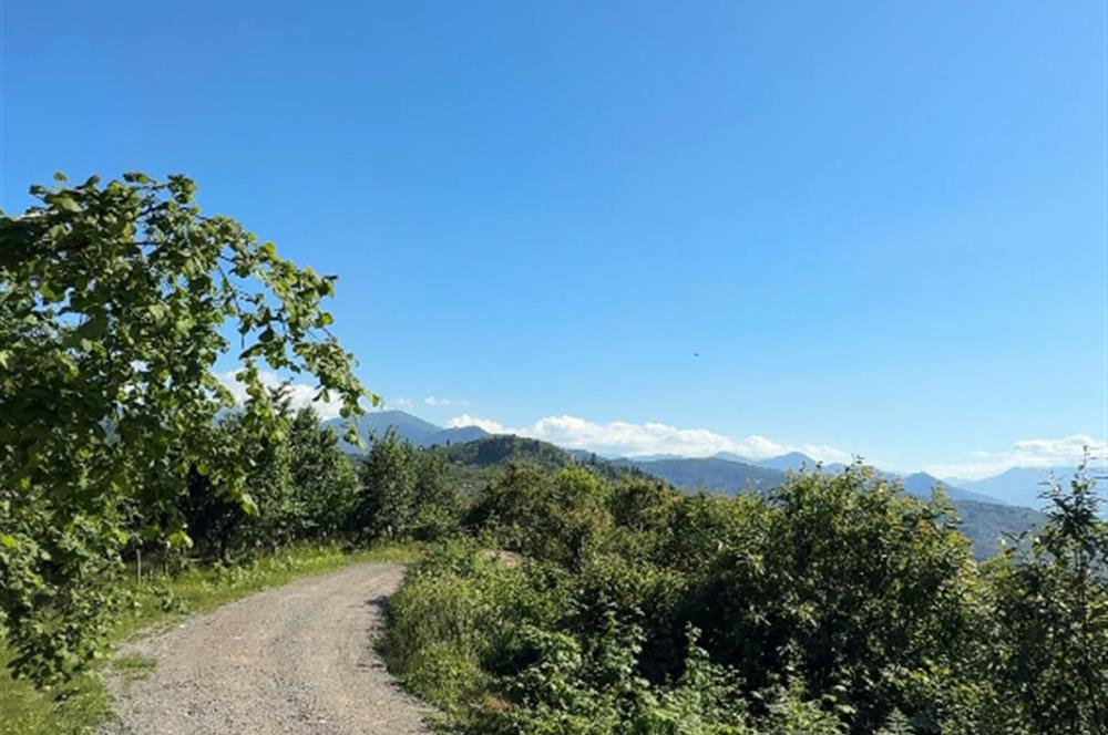 ORTAHİSAR YEŞİLBÜK'TE 3791 M2SATILIK TARLA