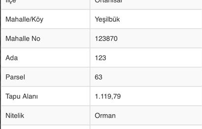 ORTAHİSAR YEŞİLBÜK'TE 3791 M2SATILIK TARLA