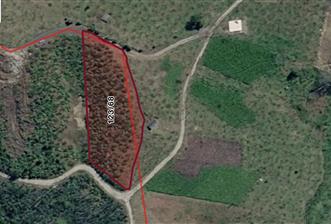 ORTAHİSAR YEŞİLBÜK'TE 3791 M2SATILIK TARLA - 1 - 35432