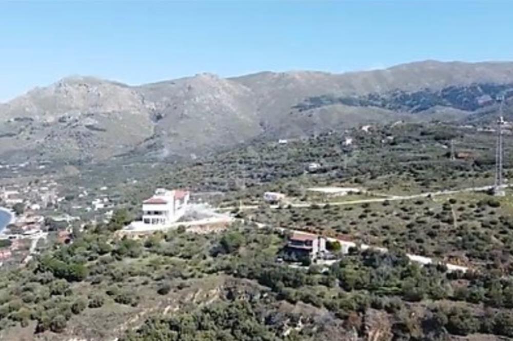 MARMARA ADASI MERKEZDE BİTİŞİK VE MÜSTAKİL SATILIK 1.367 M² TURİZM İMARLI ARSALAR