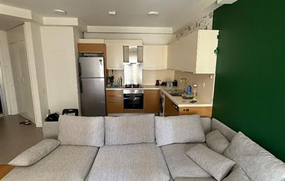 SİNPAŞ ALTINORAN GÖL EVLERİNDE KİRALIK 1+1 DAİRE