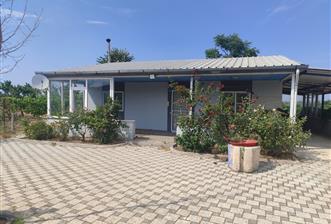 C21 LOCA'DAN BÜYÜK BOSTANCI'DA SATILIK ÇİFTLİK EVİ VE ARSASI - 1 - 35505