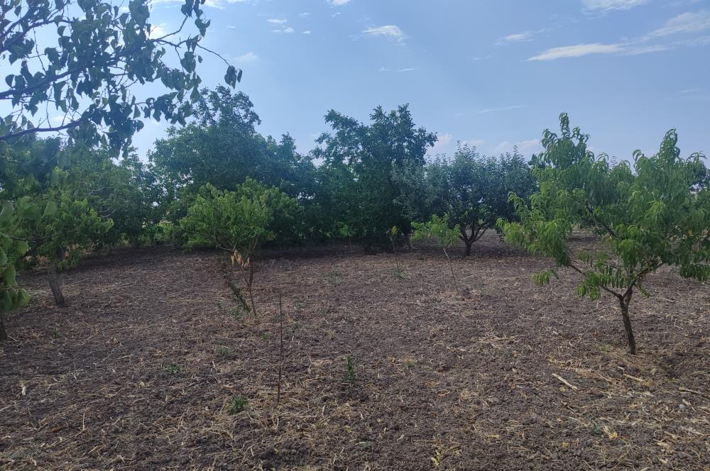 C21 LOCA'DAN BÜYÜK BOSTANCI'DA SATILIK ÇİFTLİK EVİ VE ARSASI